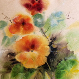Capuchina (20x20)