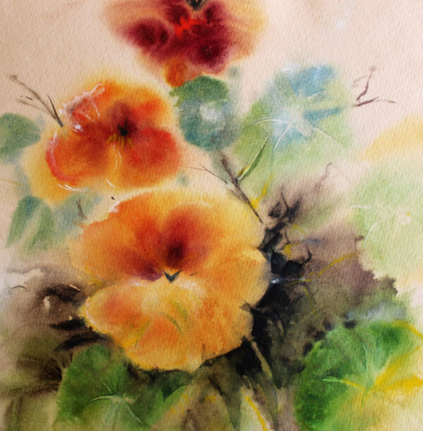 Capuchina (20x20)