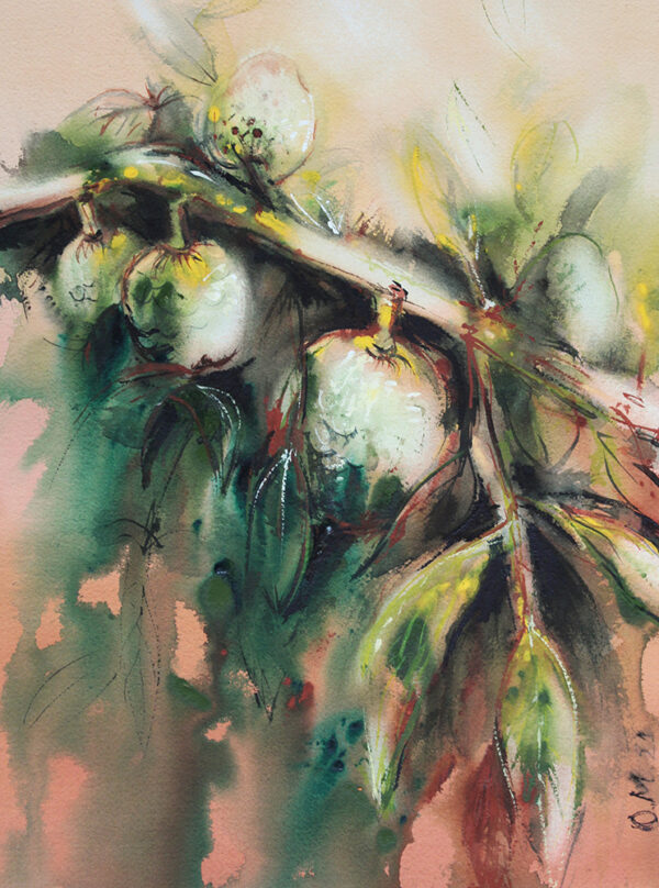 Chirimoyas (30x40)