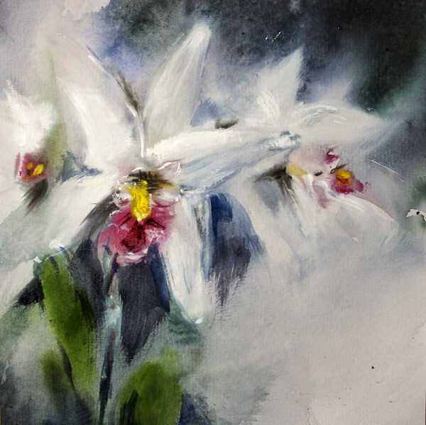 Orquídea (20x20)