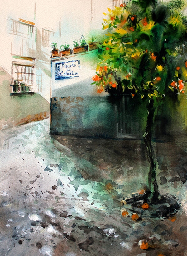 Placeta del Cobertizo (41x31)