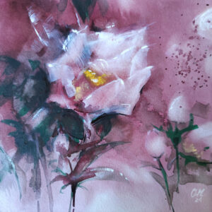 Rosa Blanca (20x20)